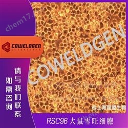 KMCC-001-0436RSC96 大鼠雪旺細胞